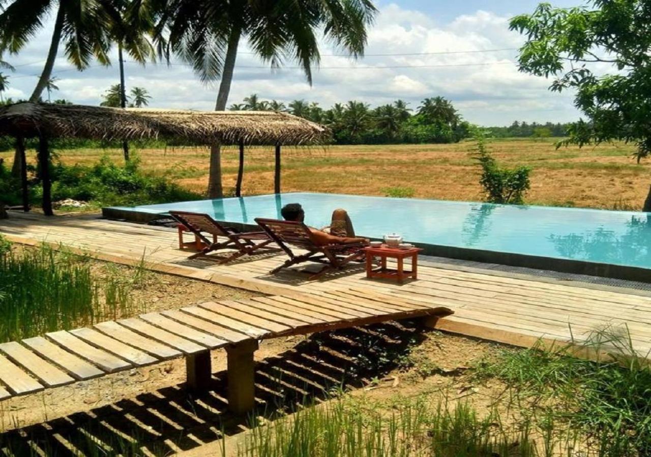 Rice Rice Villas Tissamaharama Ngoại thất bức ảnh