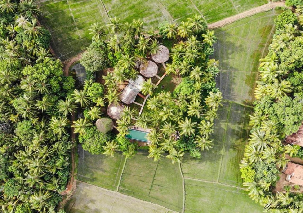 Rice Rice Villas Tissamaharama Ngoại thất bức ảnh