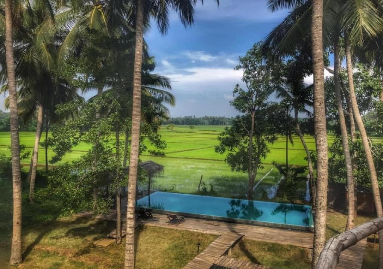 Rice Rice Villas Tissamaharama Ngoại thất bức ảnh