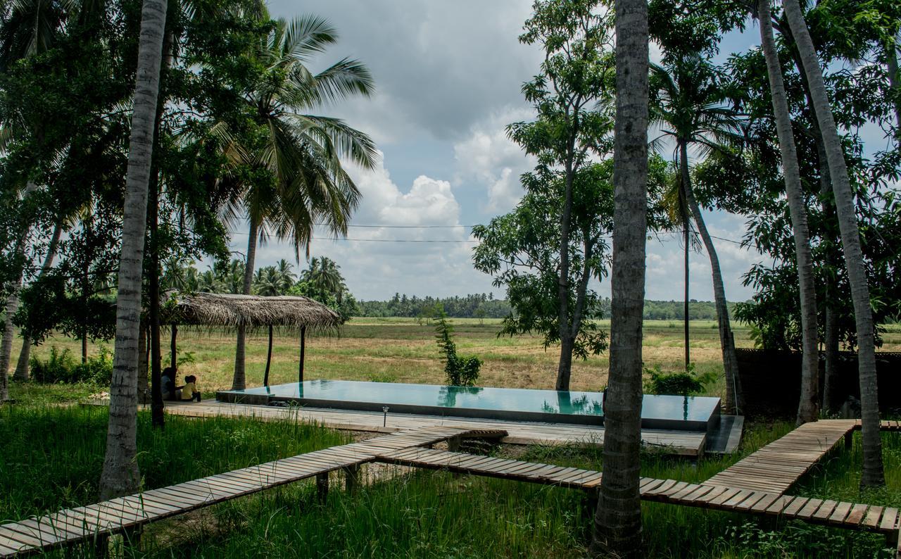 Rice Rice Villas Tissamaharama Ngoại thất bức ảnh