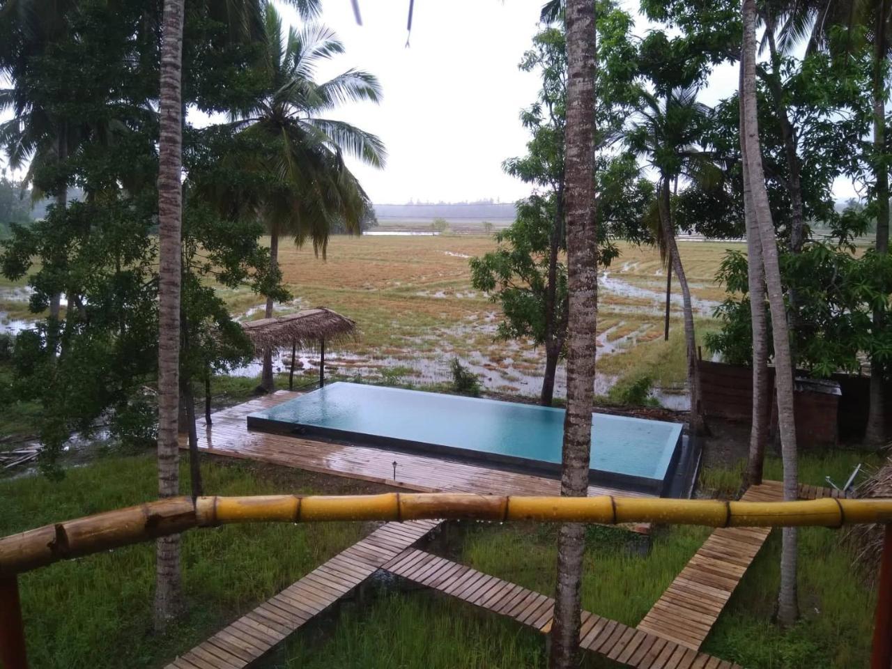 Rice Rice Villas Tissamaharama Ngoại thất bức ảnh
